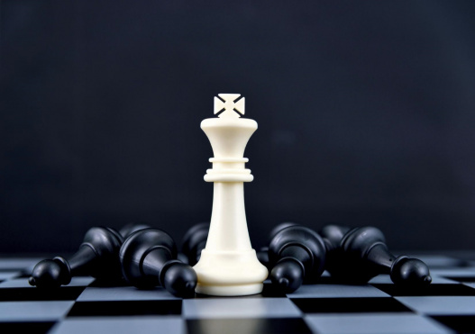 Стартовал VIII Всероссийский чемпионат по шахматам среди адвокатов «Белая королева»
