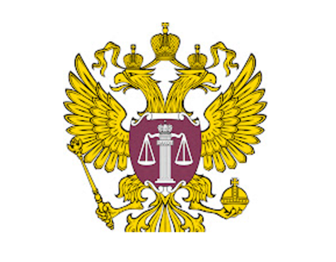 Верховный Суд РФ верен стратегии точечных замечаний